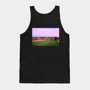 Dog walking and golden sunset on the hill Tank Top